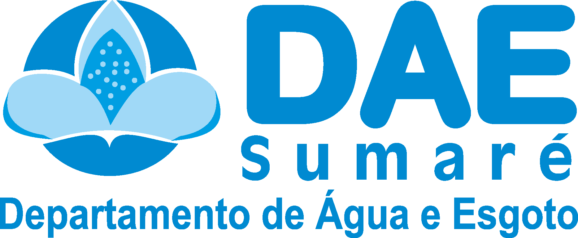 DAE SUMARР Logo Vector Logo